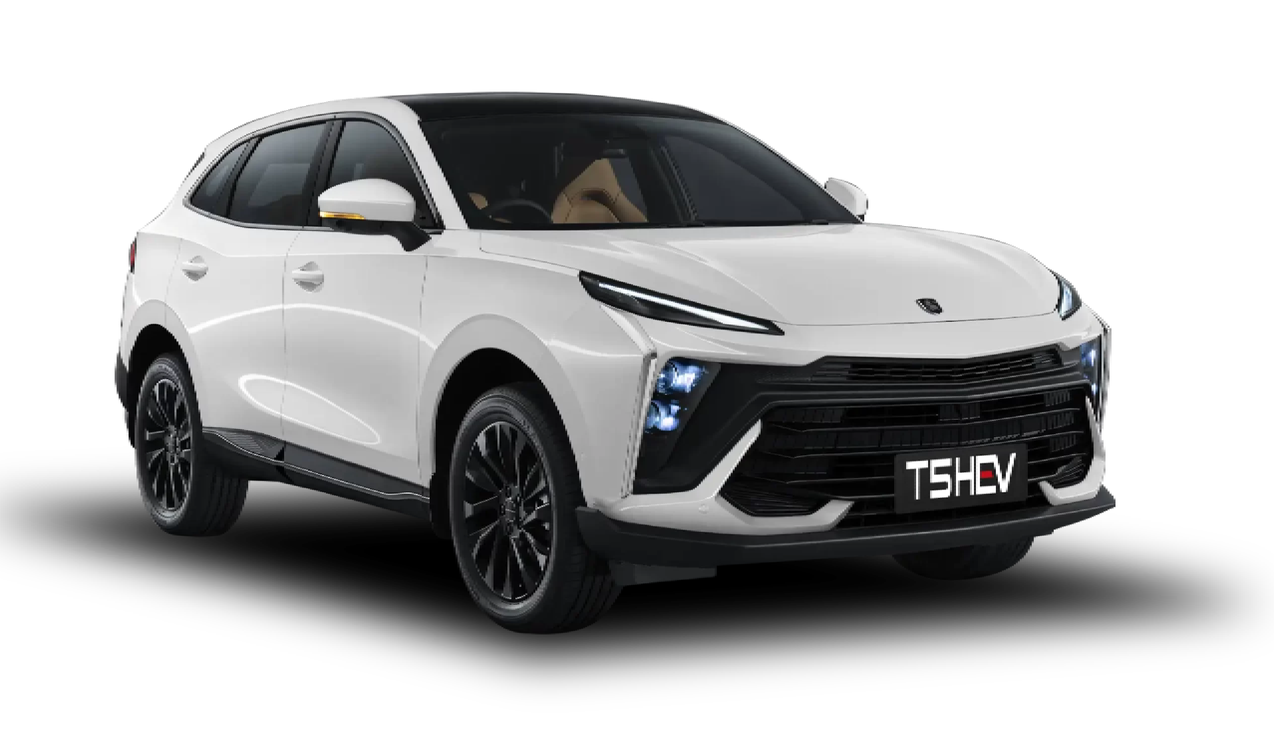 LOGO FORTHING T5 HEV