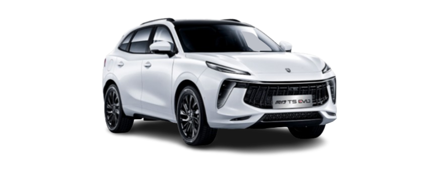 Forthing-T5EVO