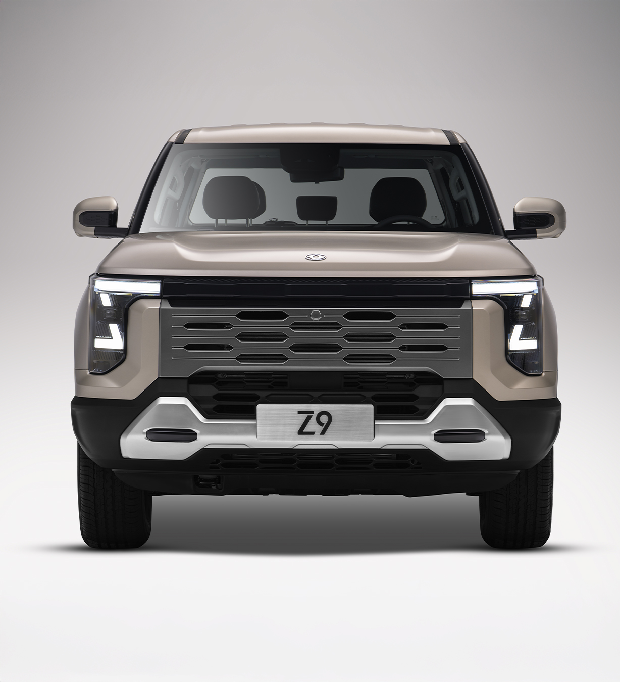 4 Imagenes 2 PICKUP Z9 1228x1350px