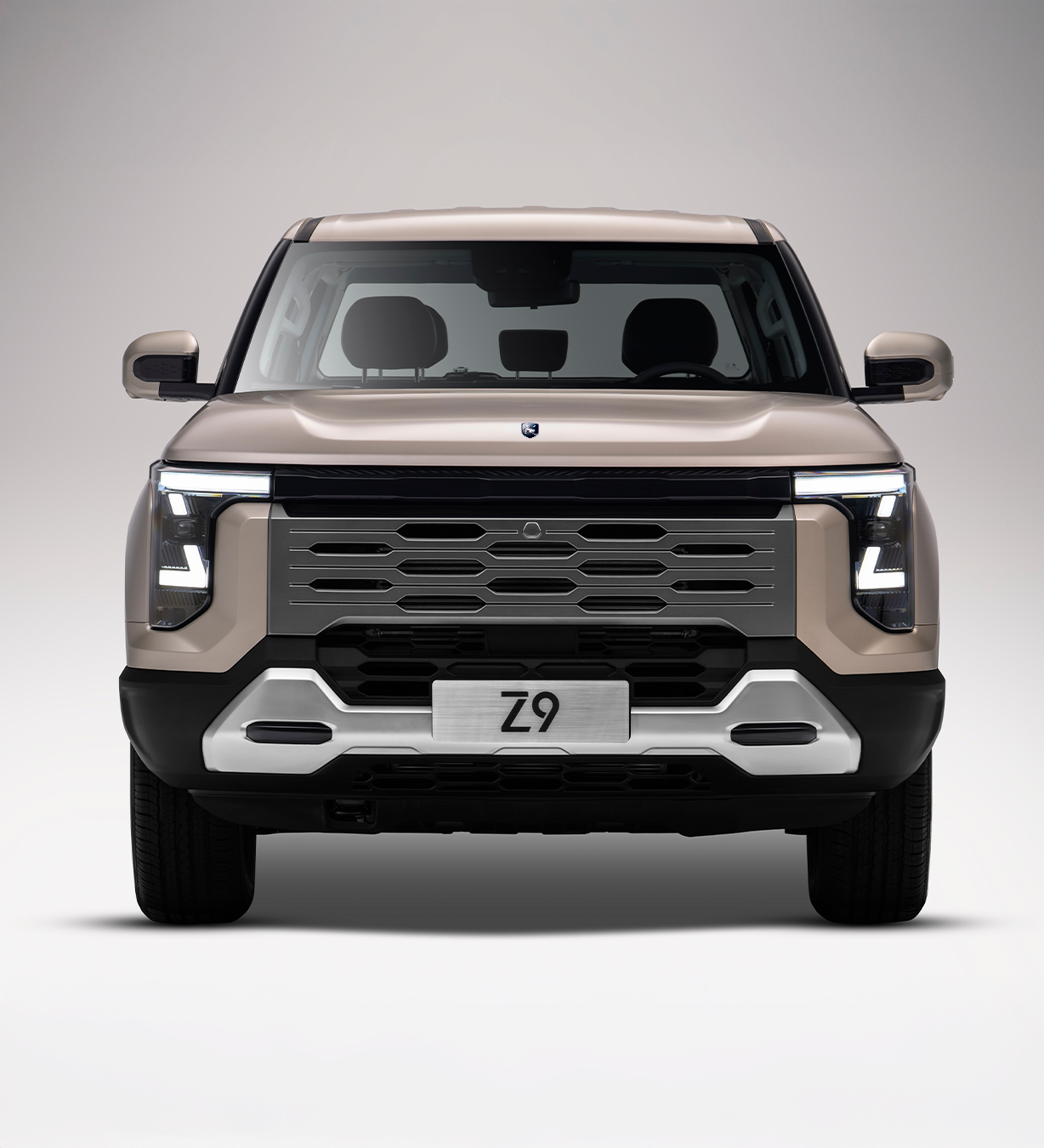 4 Imagenes 2 PICKUP Z9 1228x1350px